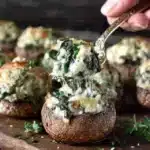 Cheesy Vegetarian Stuffed Mushrooms 6 cheesy vegetarian stuffed mushrooms 2025 10 21 165549 150x150 1