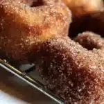 Sourdough Discard Cinnamon Sugar Churro Bites 5 sourdough discard cinnamon sugar churro bites 2025 12 31 183844 1024x683 1